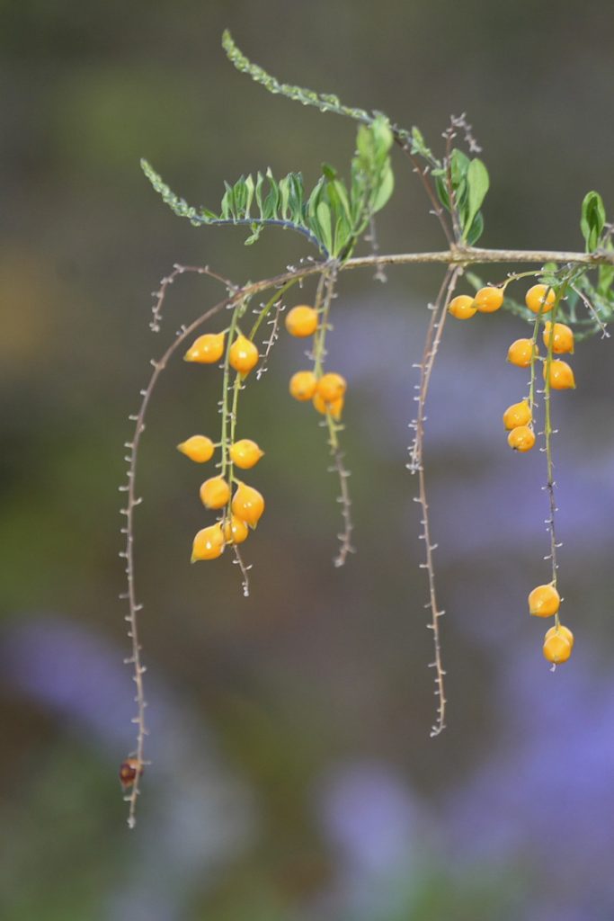 Foto 22